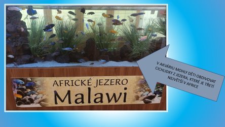 Africké muzeum