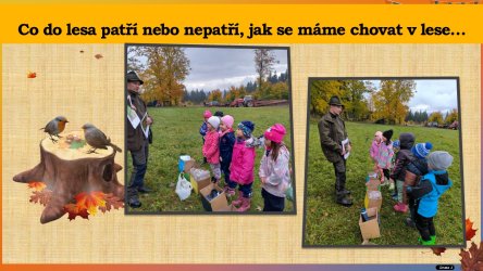 Výlet do lesa