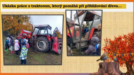 Výlet do lesa