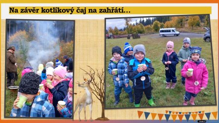 Výlet do lesa