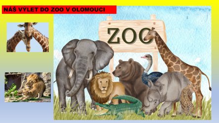 Výlet do ZOO