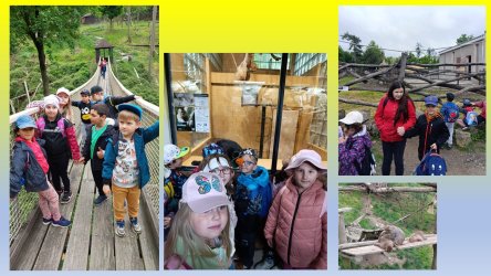 Výlet do ZOO